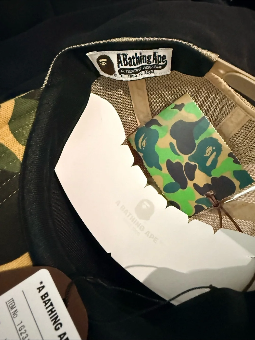 Bape season	 fall